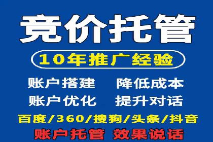 SEM营销案例：电商平台的流量密码